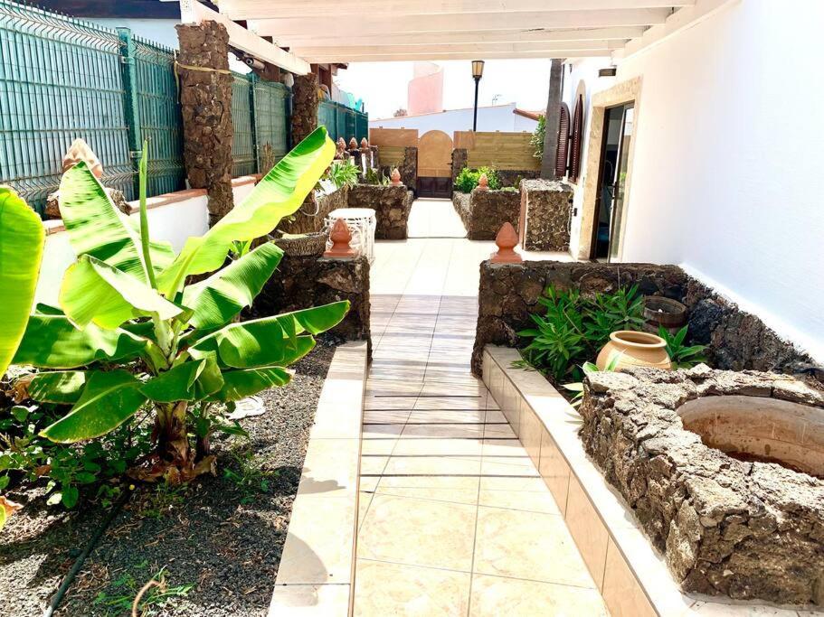 Casa Gato Apartment Corralejo Ngoại thất bức ảnh